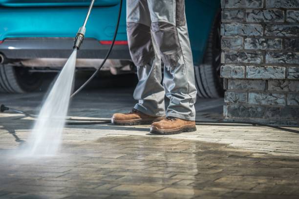Best Dumpster Area Cleaning  in Cannelton, IN